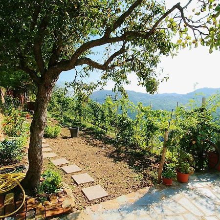 Agriturismo Costamagna Ноли Экстерьер фото