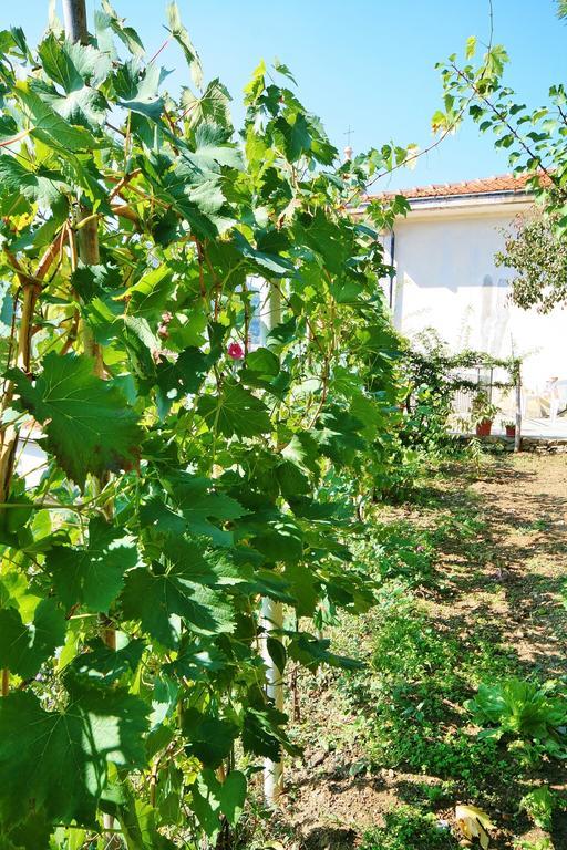 Agriturismo Costamagna Ноли Экстерьер фото